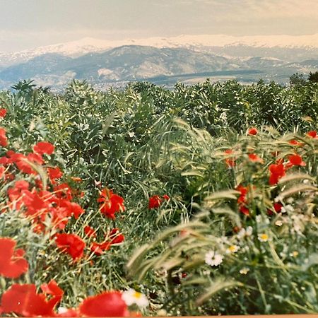 Encantador Cortijo La Emiliana A 5 Minutos Del Centro Churriana de la Vega Exteriér fotografie
