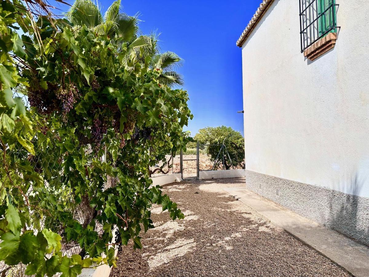 Encantador Cortijo La Emiliana A 5 Minutos Del Centro Churriana de la Vega Exteriér fotografie