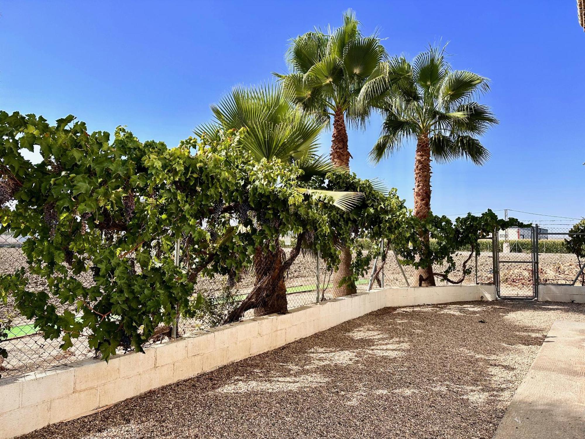 Encantador Cortijo La Emiliana A 5 Minutos Del Centro Churriana de la Vega Exteriér fotografie